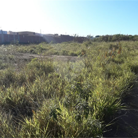 Vendo Terreno no Parque Industrial em São Carlos SP