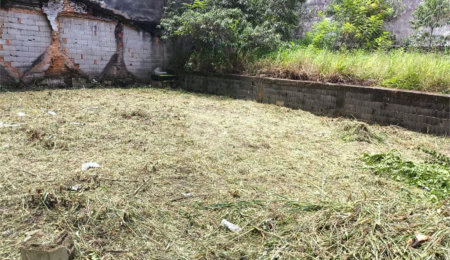 TERRENO À VENDA NA VILA MASCOTE – 250 m²