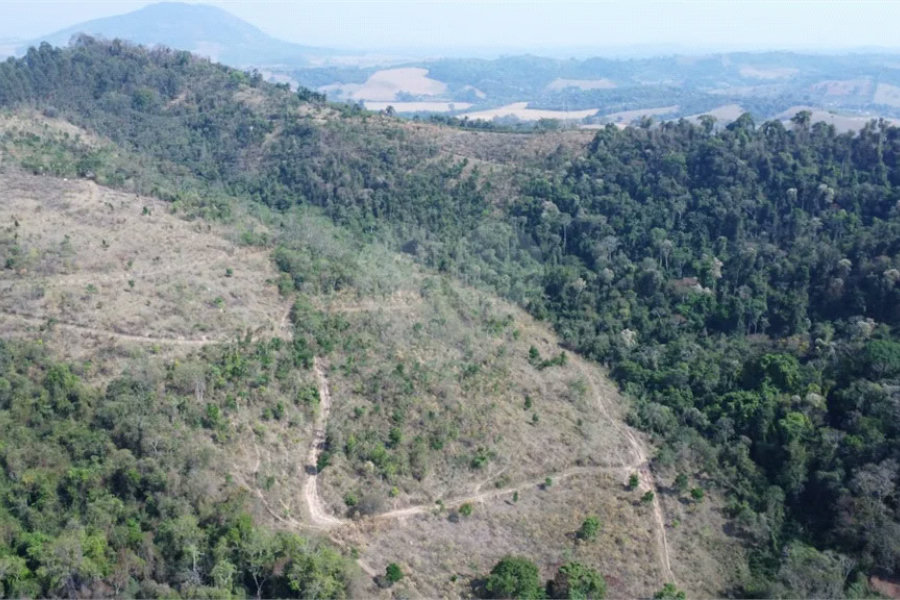 FAZENDA FORTALEZA, Caldas - MG