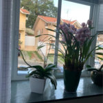 Casa à venda – 166m² – Condomínio Villagio Dei Fiore