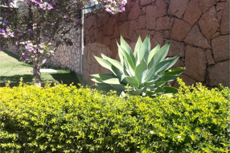 Casa à venda com 5 suítes em Jardim do Ribeirão I, Itupeva, SP
