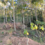Excelente terreno à venda com 2950 m²