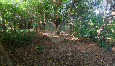 Terreno à venda em Chácara Parque Club, São Carlos, SP