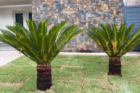 Casa Térrea no Condomínio Residencial Valencia Ilha Turia.