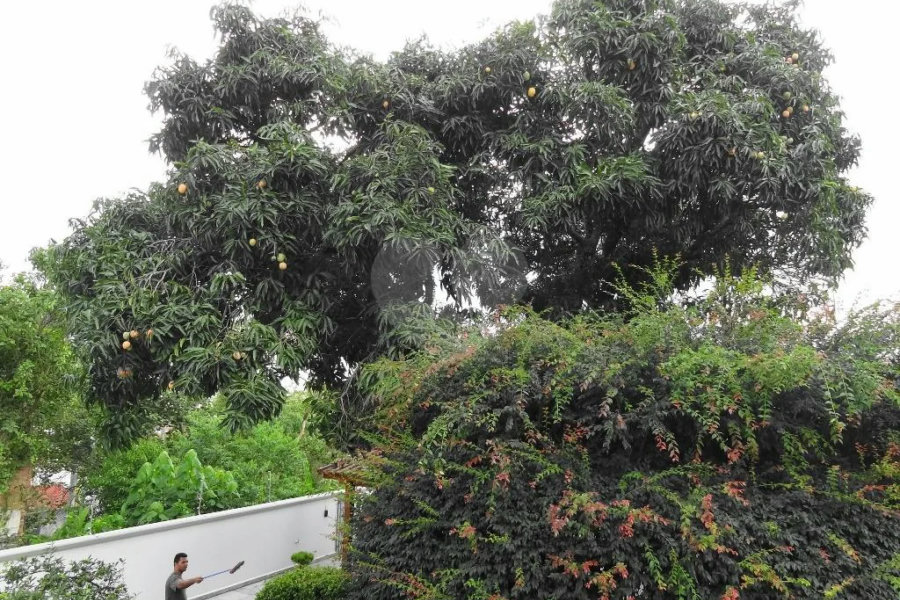 CASA TÉRREA ALTO PADRÃO NO TREMEMBE
