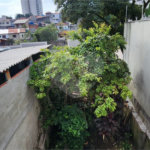 Casa térrea com duas edículas para venda - Saúde, SP.