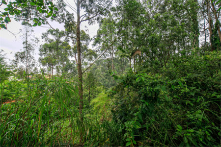 Terreno à venda em Morumbi, São Paulo, SP