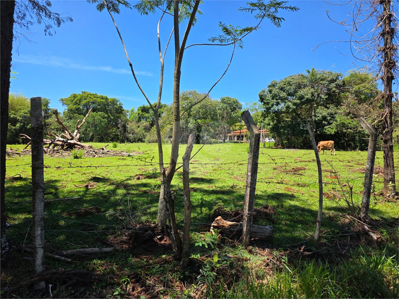 3021m² de área para construção de chácara