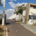 Apartamento à Venda ou para Alugar - Edifício Monte Athos (Jardim Embaré)