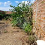 Terreno no Planalto Paraíso
