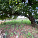 Terreno com 3.075,00 m² de área total.