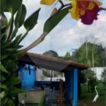 Chácara na cidade Santa Isabel próximo a São Paulo