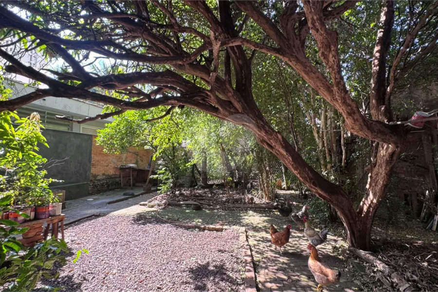 Casa à venda com 4 quartos no Centro, Piracicaba, SP