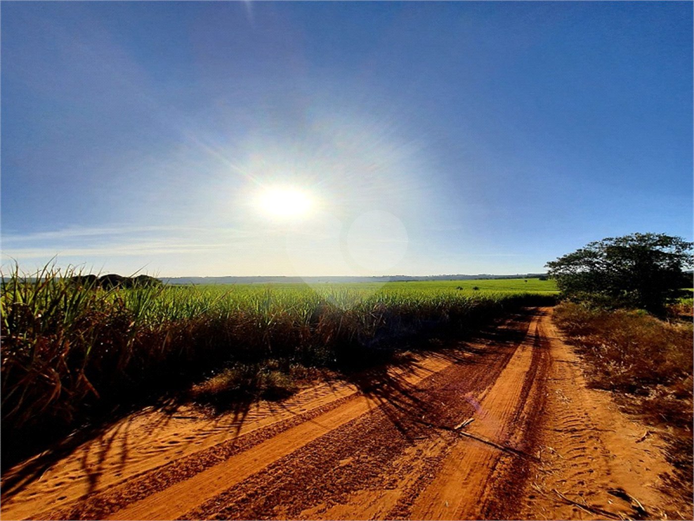 Fazenda em Ribeirão Bonito