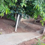 Terreno com 586,00 m² de área total na Vila Costa do Sol.