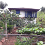 SITIO À VENDO NA ZONA NORTE, 65 MIL M², CASA COM 4 DORMITORIOS, 2 BANHEIROS