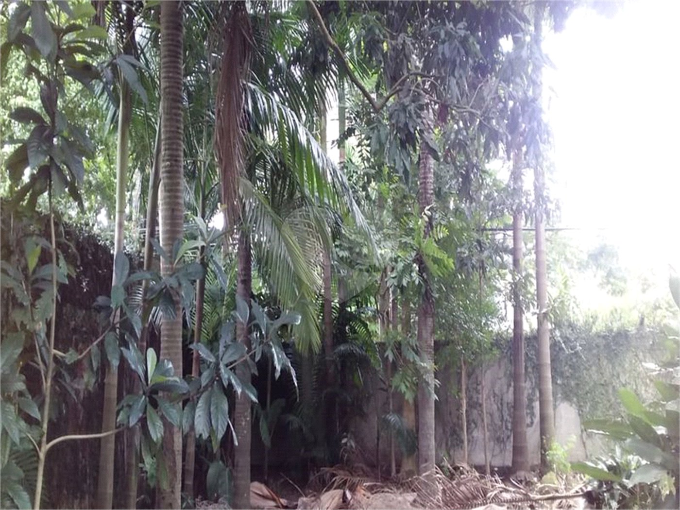 Casa Térrea à venda com 4 quartos, sendo 1 suíte, em Granja Julieta, São Paulo, SP