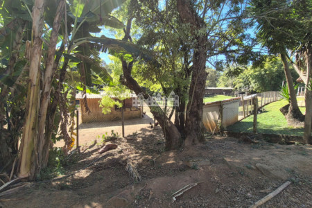 Sítio à venda com 7 alqueires, em Serra do Capetinga, Itapeva - MG