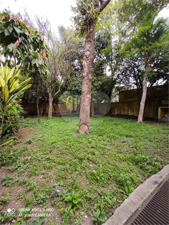 Linda casa térrea no Mandaqui