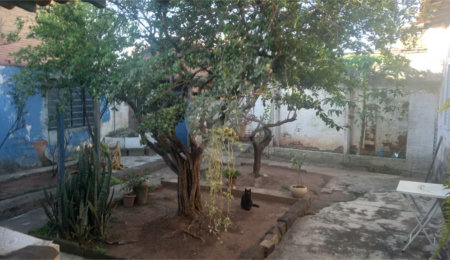 Casa Térrea à venda ou para alugar com 3 quartos em Vila Conrado, São João da Boa Vista, SP