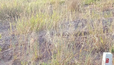 Terreno à venda em Vale do Sol, Piracicaba, SP