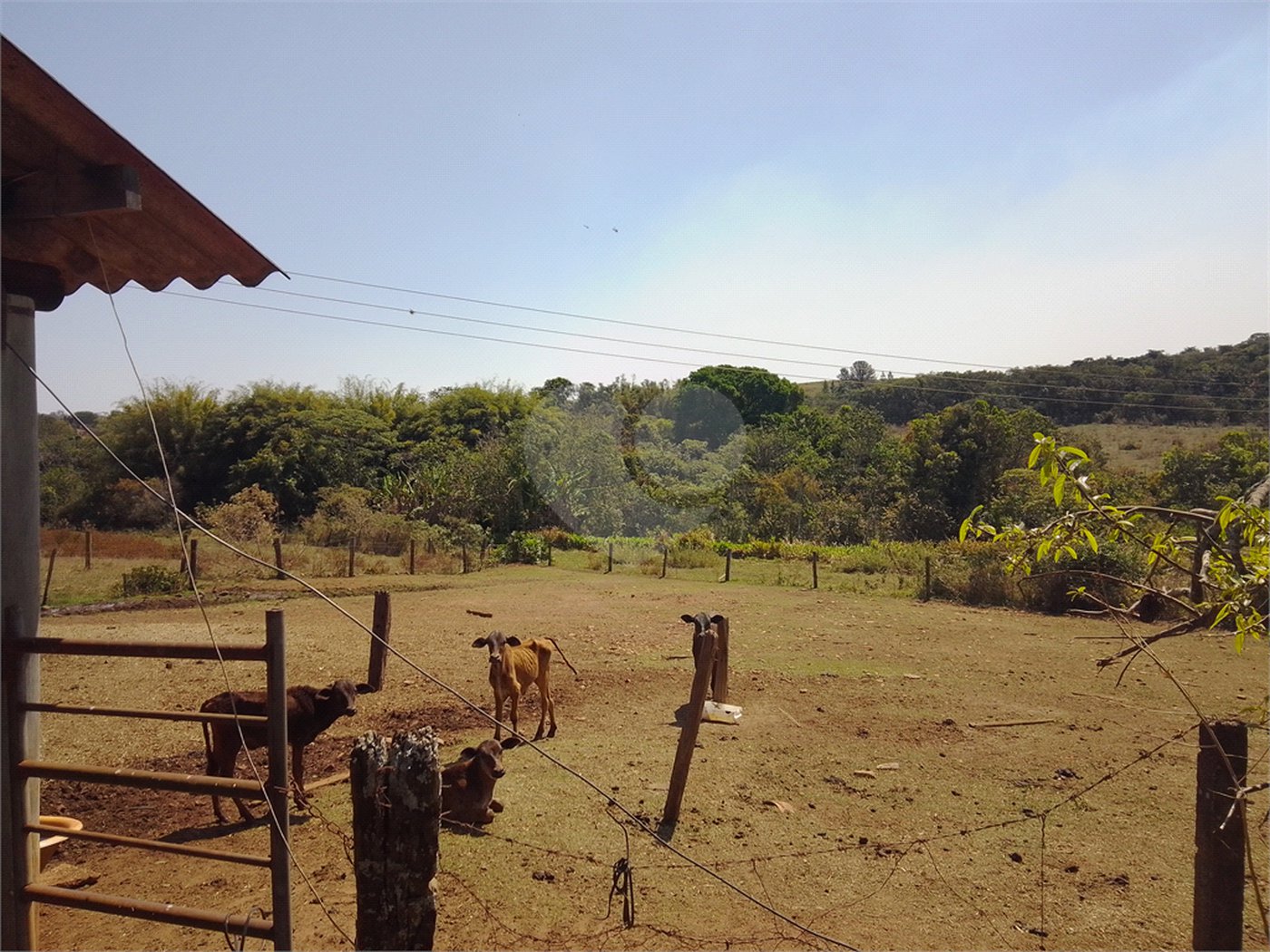 Excelente sítio de 27 alqueires, ótima localização em São Carlos.