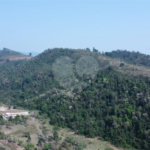 FAZENDA FORTALEZA, Caldas - MG
