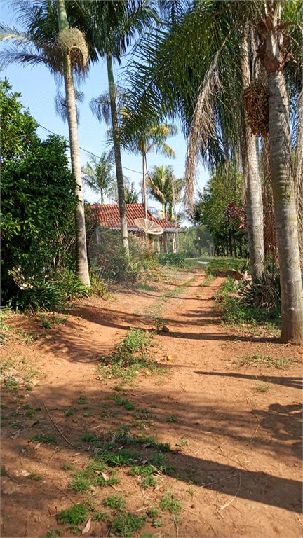 Ribeirão Grande - Bairro ferreira dos Matos - Sítio de 30.000 metros - R$ 600.000,00