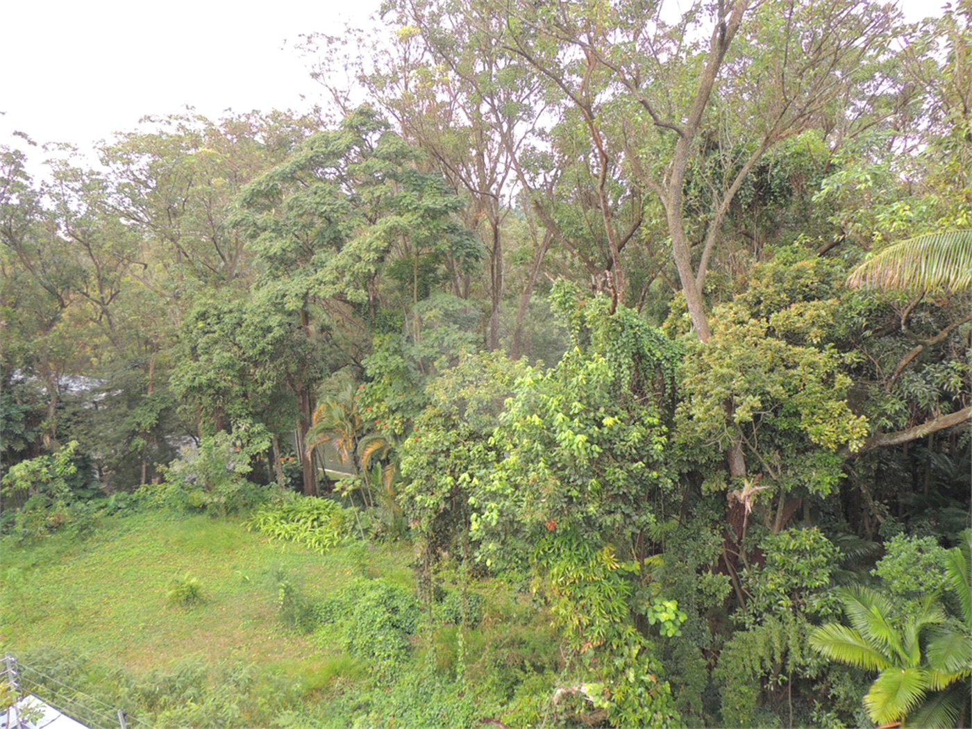 Casa à venda com 3 suítes no condomínio Jardim Flora, São Paulo - SP