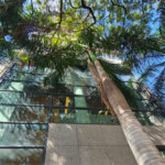 Apartamento no Itaim Bibi de 45m2 com 1 dorm, 1 banheiro, 1vaga. Estuda permuta. Viva a um passo dos melhores shoppings, hospitais, escolas e rodovias principais com 1 dorm, 1 banheiro, 1 vaga. Estuda permuta