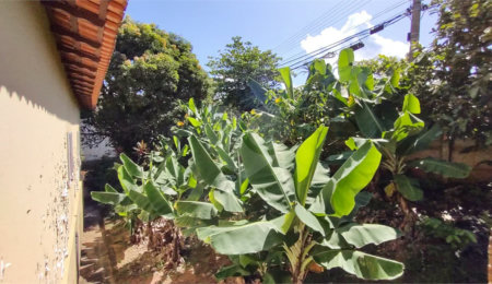 Terreno à venda em Jardim Satélite, São João da Boa Vista, SP