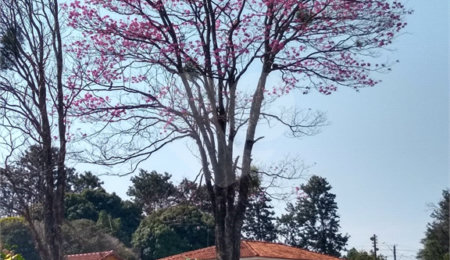 Chácara à venda com 3 quartos, sendo 1 suíte,  em Água Vermelha, São Carlos, SP