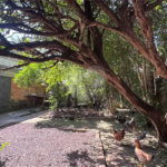 Casa à venda com 4 quartos no Centro, Piracicaba, SP
