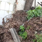 Terreno de 230 m² no Jardim Prudência