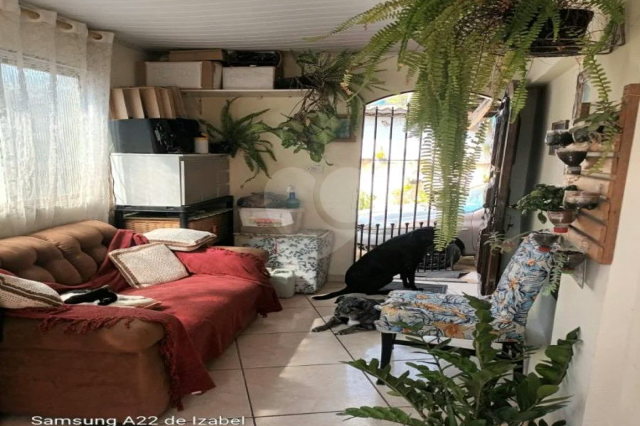 Terreno grande com 2 casas em São Paulo! Casas bem arejadas.
