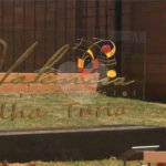 Casa Térrea no Condomínio Residencial Valencia Ilha Turia.