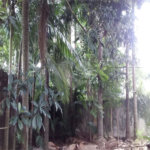 Casa Térrea à venda com 4 quartos, sendo 1 suíte, em Granja Julieta, São Paulo, SP