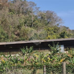 VENDA SÍTIO 48 hectares com estruura para granja, hidroponia e gado