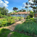 Chácara no Balneário Santo Antônio á venda