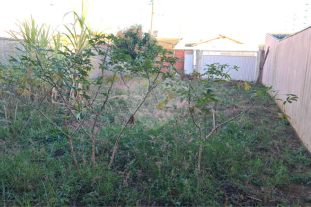 Terreno murado com portão e concertina no Jardim Embaré,