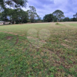 Loteamento Residencial no Condomínio Vila Pinhal do Broa
