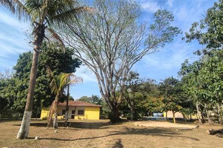 Chácara dos Sonhos à Venda – São Carlos/SP – Recreio Campestre