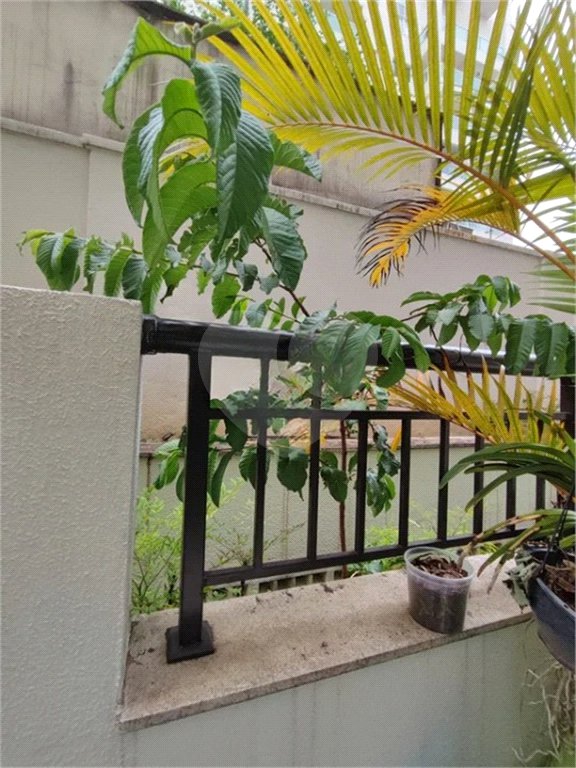 Apartamento Garden na Mooca com 322m² com 4 dormitórios 5 vagas Estuda Permuta