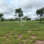 Loteamento Residencial no Condomínio Vila Pinhal do Broa