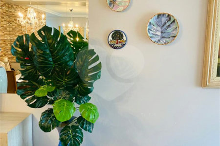 LINDO APARTAMENTO