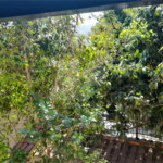 SOBRADO JARDIM VIRGINIA BIANCA