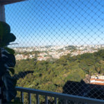 Apartamento para locação no Flor de Liz Residence