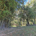 Sítio à venda com 7 alqueires, em Serra do Capetinga, Itapeva - MG