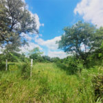 Lote à Venda – Oportunidade! 1.000 m² – Recanto Campestre Internacional de Viracopos (Gleba 4) – Indaiatuba/SP