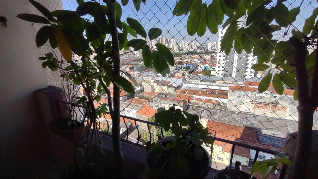 Apartamento amplo em ótima localização de São Paulo!!!!